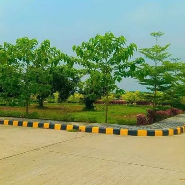 WhatsApp Image 2025-10-08 at 3.00.54 AM (1)