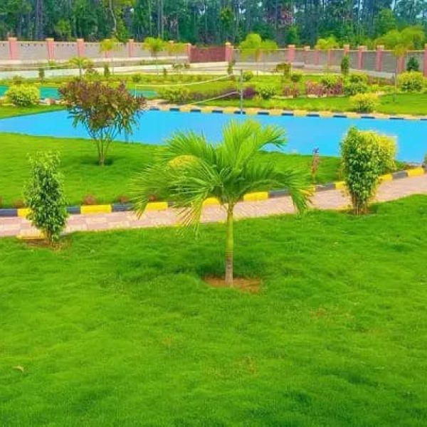 WhatsApp Image 2025-10-08 at 3.00.54 AM