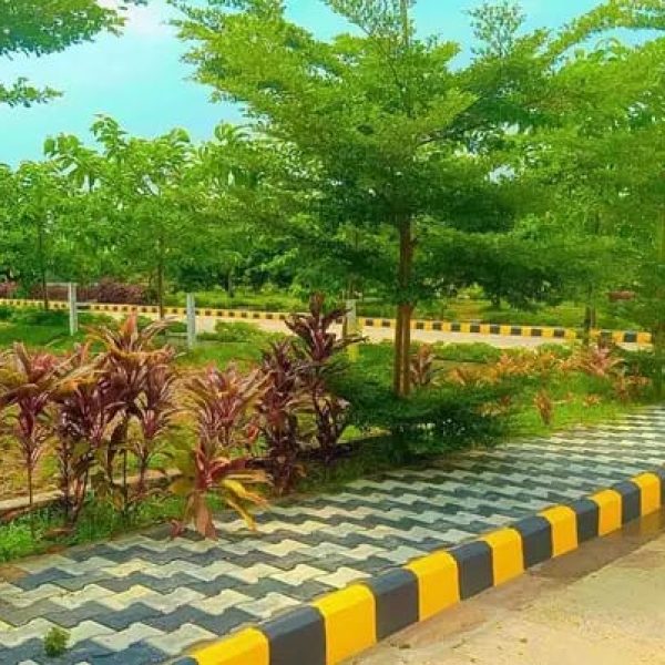 WhatsApp Image 2025-10-08 at 3.00.55 AM